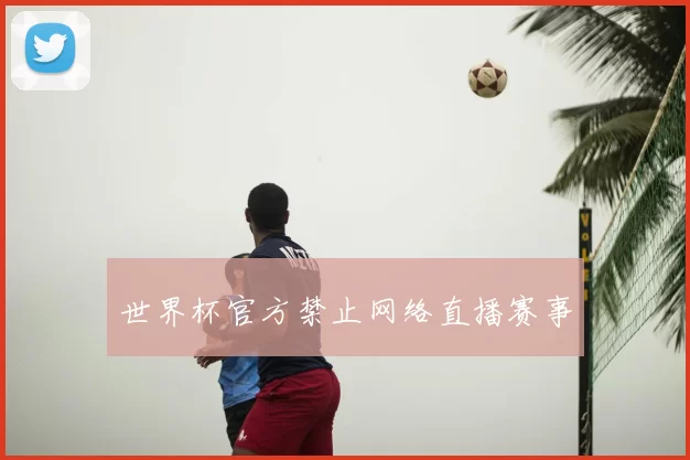 世界杯官方禁止网络直播赛事