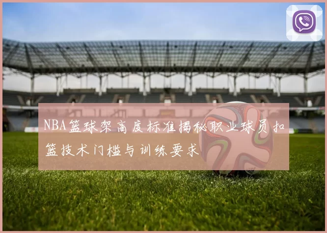 NBA篮球架高度标准揭秘职业球员扣篮技术门槛与训练要求