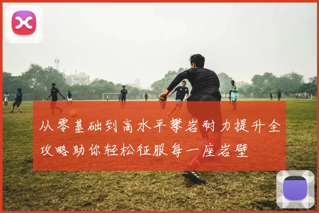 从零基础到高水平攀岩耐力提升全攻略助你轻松征服每一座岩壁