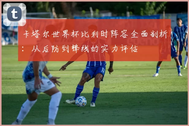 卡塔尔世界杯比利时阵容全面剖析：从后防到锋线的实力评估