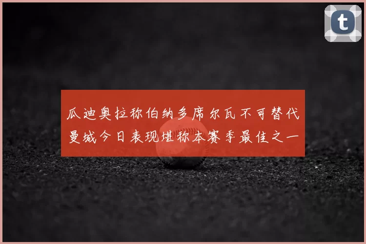 瓜迪奥拉称伯纳多席尔瓦不可替代曼城今日表现堪称本赛季最佳之一