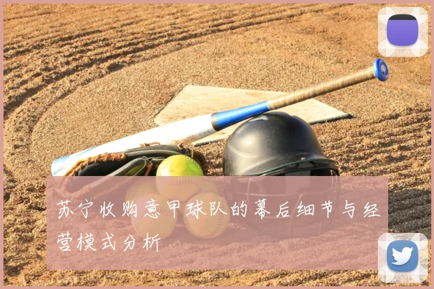 苏宁收购意甲球队的幕后细节与经营模式分析