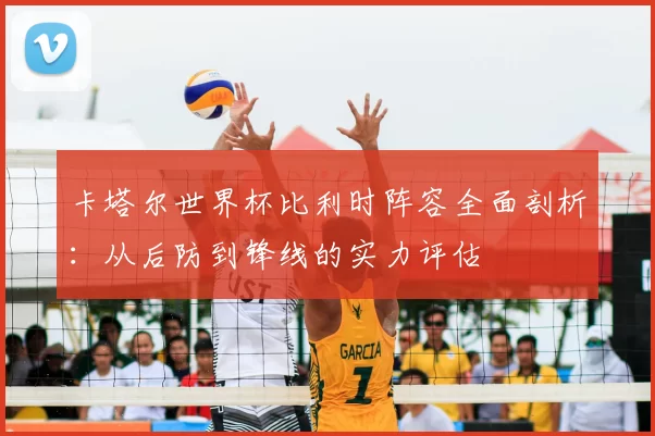 卡塔尔世界杯比利时阵容全面剖析：从后防到锋线的实力评估