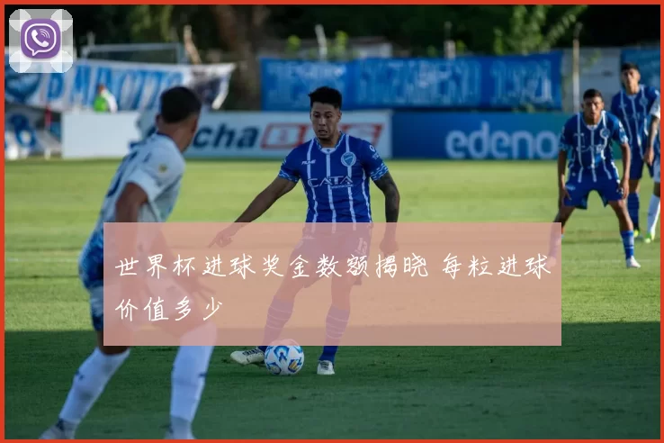 世界杯进球奖金数额揭晓 每粒进球价值多少