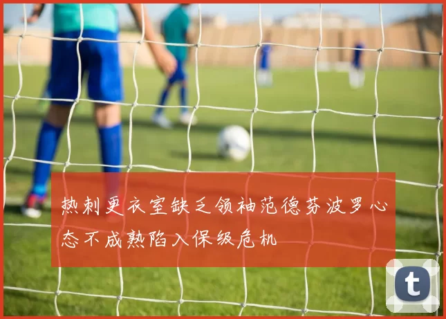 热刺更衣室缺乏领袖范德芬波罗心态不成熟陷入保级危机