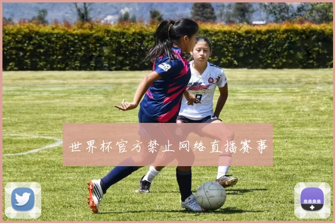 世界杯官方禁止网络直播赛事