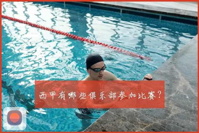 西甲有哪些俱乐部参加比赛？