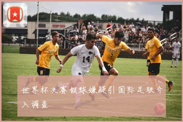 世界杯决赛假球嫌疑引国际足联介入调查