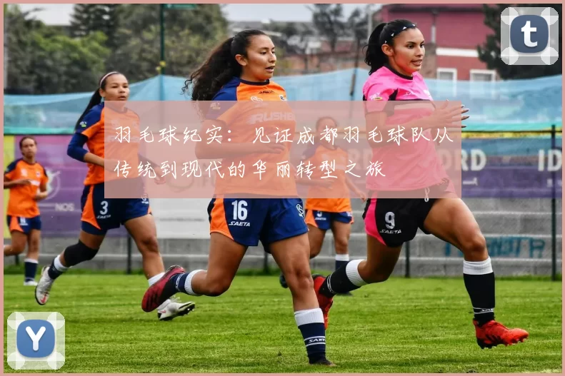羽毛球纪实：见证成都羽毛球队从传统到现代的华丽转型之旅