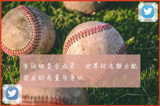 专访组委会成员：世界杯名额分配背后的考量与争议