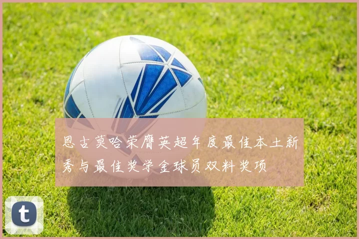 恩古莫哈荣膺英超年度最佳本土新秀与最佳奖学金球员双料奖项
