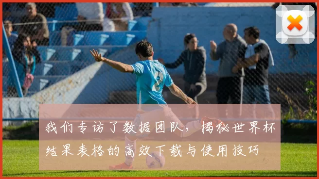 我们专访了数据团队，揭秘世界杯结果表格的高效下载与使用技巧