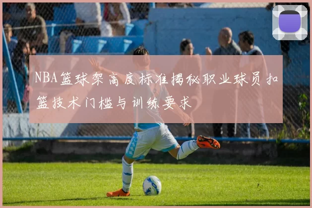 NBA篮球架高度标准揭秘职业球员扣篮技术门槛与训练要求