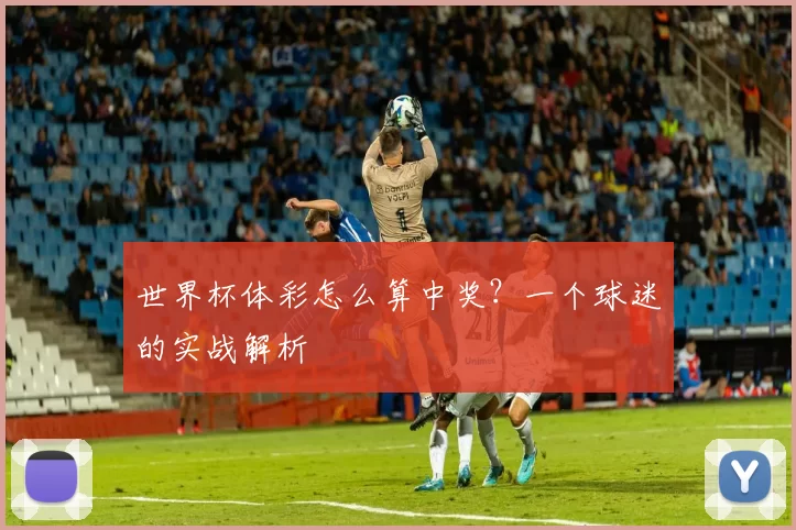 世界杯体彩怎么算中奖?一个球迷的实战解析
