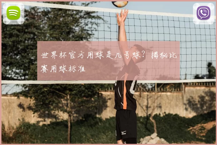 世界杯官方用球是几号球？揭秘比赛用球标准