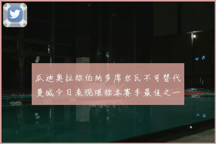 瓜迪奥拉称伯纳多席尔瓦不可替代曼城今日表现堪称本赛季最佳之一