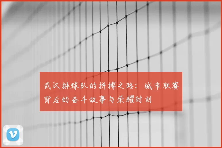 武汉排球队的拼搏之路：城市联赛背后的奋斗故事与荣耀时刻