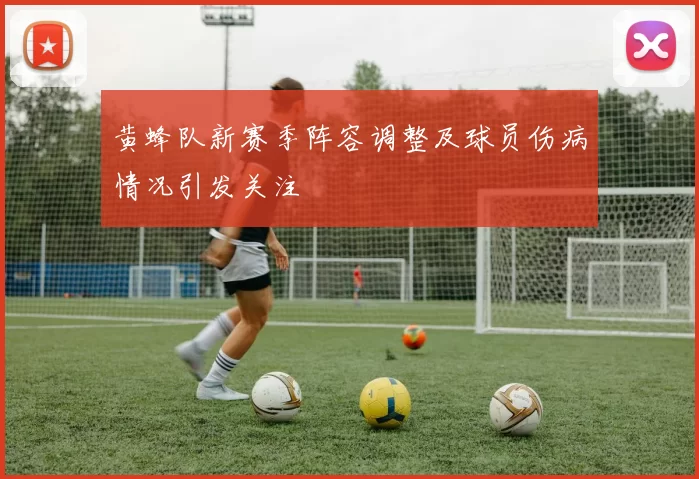 黄蜂队新赛季阵容调整及球员伤病情况引发关注