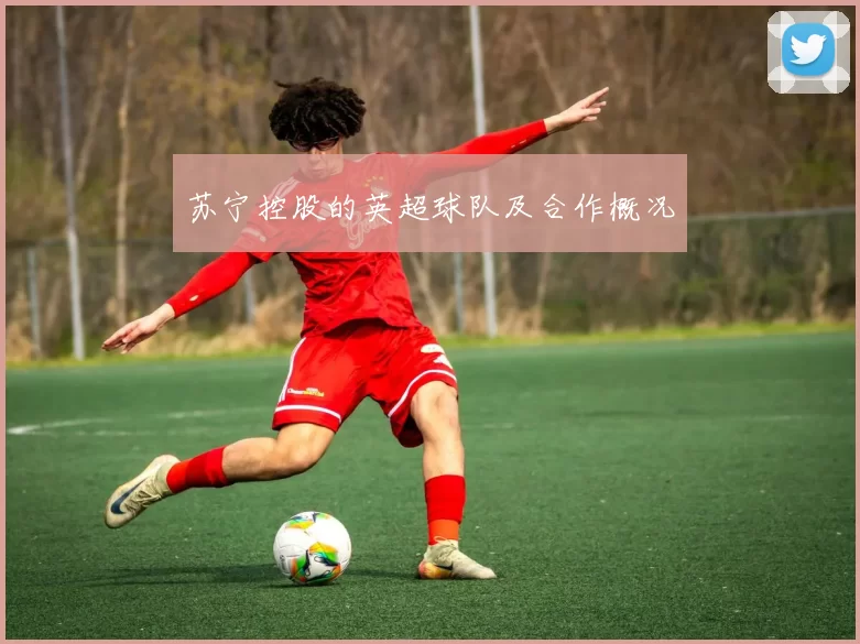 苏宁控股的英超球队及合作概况
