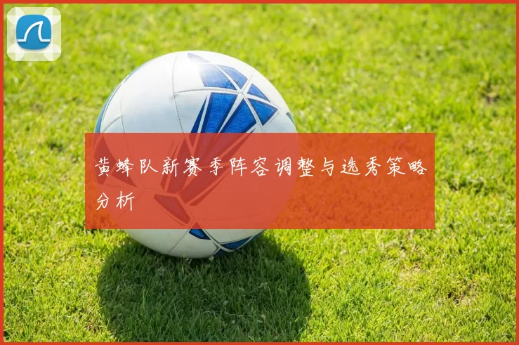 黄蜂队新赛季阵容调整与选秀策略分析