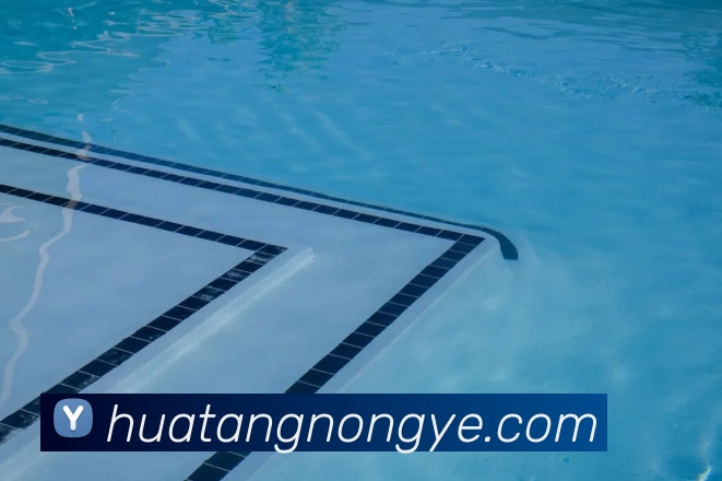 App Interface Preview