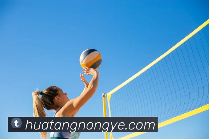 数据防护可视化